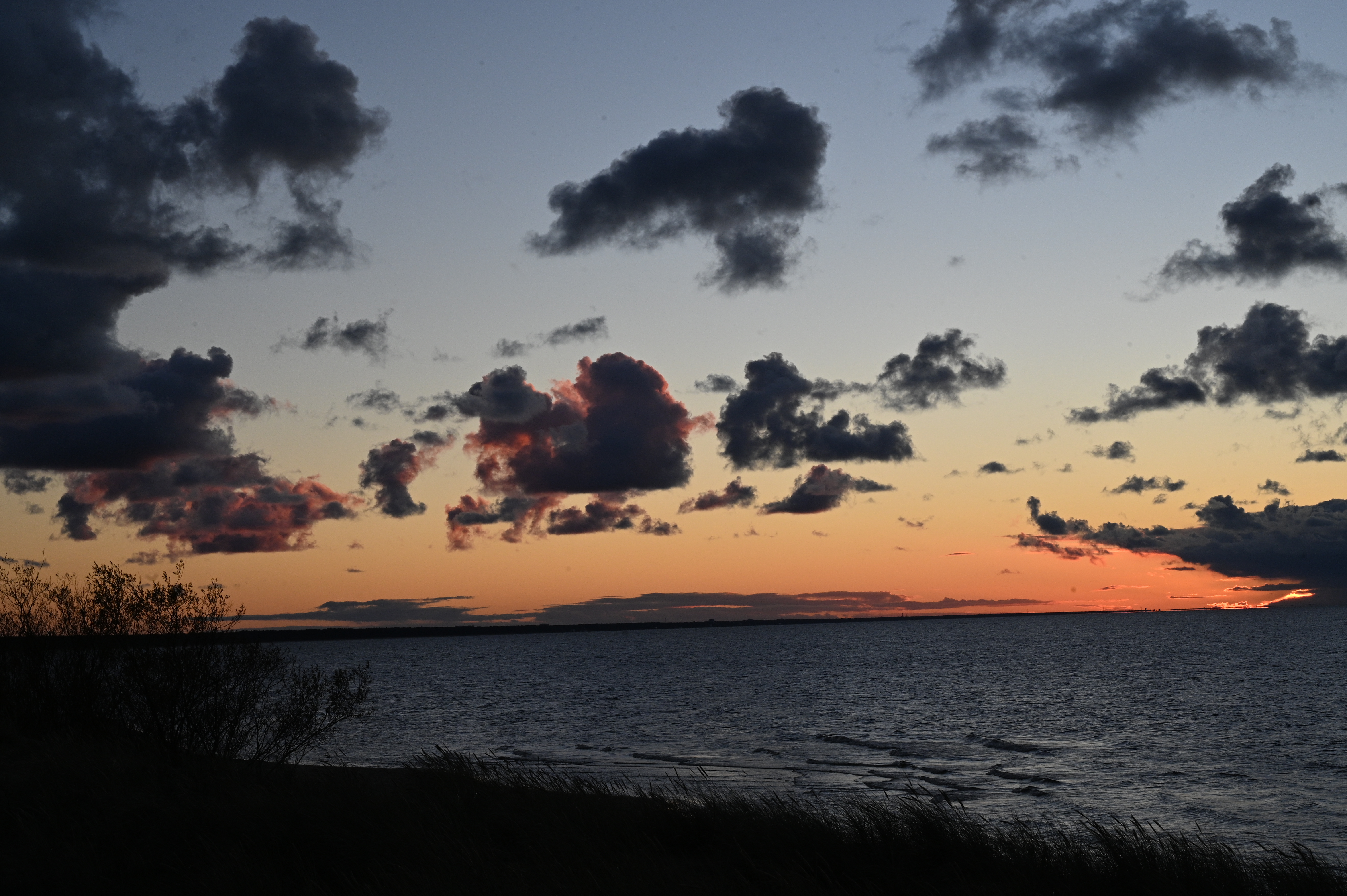 2025/10/18 - walk/DSC_0523.JPG